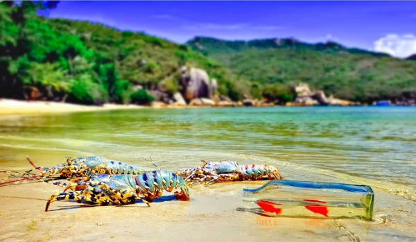 Khám phá đảo Tôm Hùm Bình Ba Nha Trang