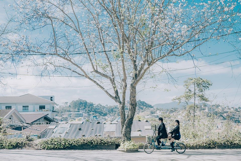 cam-nang-du-lich-nha-trang-da-lat-tu-tuc-1 Đà Lạt là một trong những địa điểm có thể du lịch quanh năm