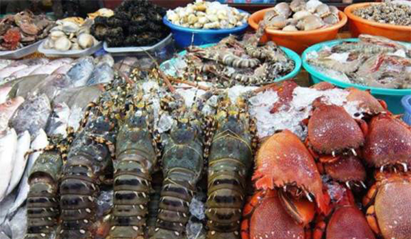 Bình Ba được thiên nhiên ưu đãi cho nguồn hải sản phong phú