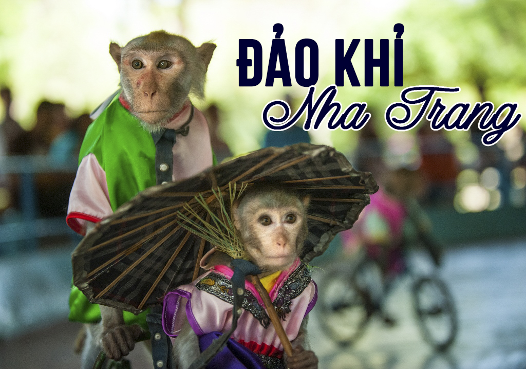 dao-khi-nha-trang Đảo Khỉ Nha Trang