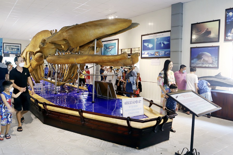 di-tich-lich-su-van-hoa-nha-trang-1