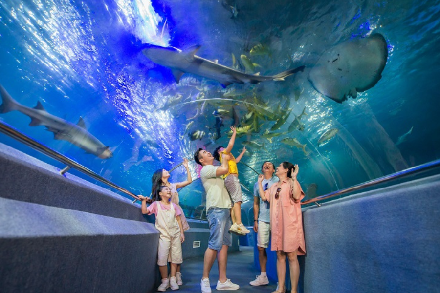 di-vinpearl-nha-trang-can-mang-theo-gi206