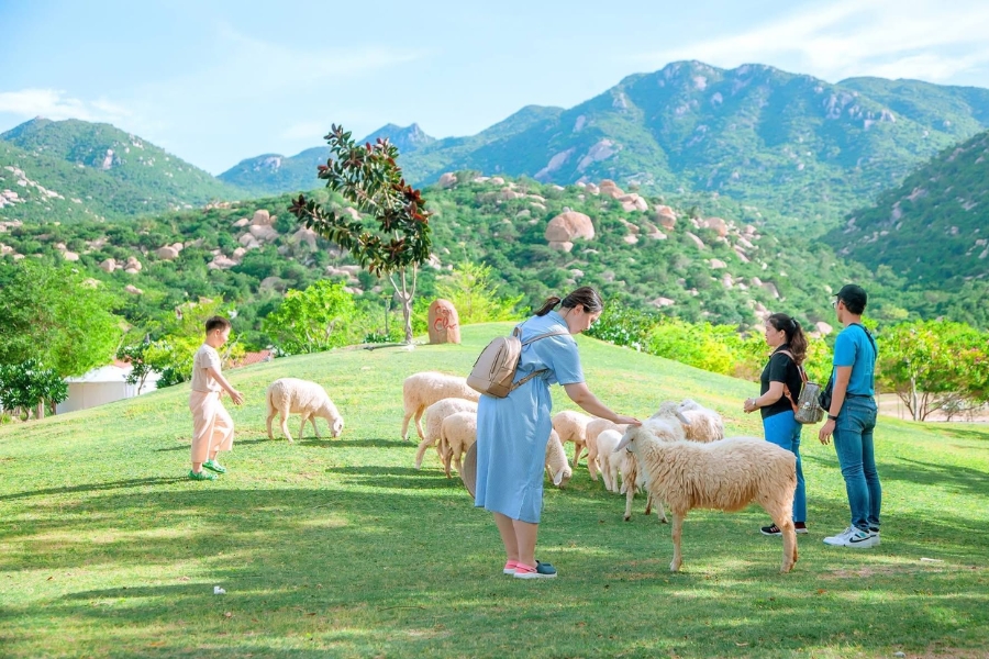dia-diem-check-in-ninh-thuan203