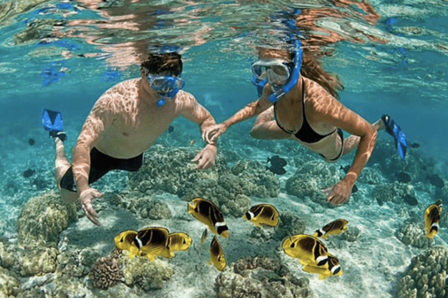 dia-diem-tham-quan-hot-tai-nha-trang-dip-tet208