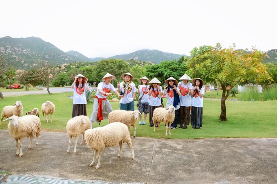 doan-khach-nuoc-ngoai203