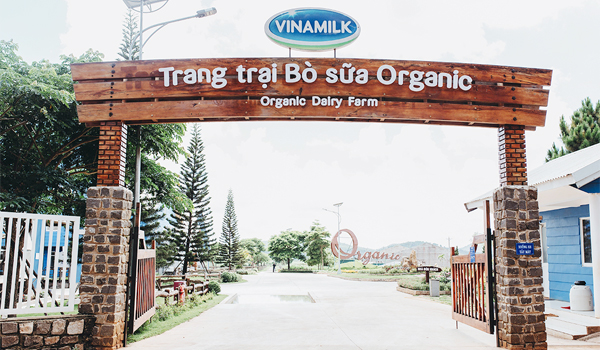 Cổng vào Trang trại bò sữa Vinamilk Organic