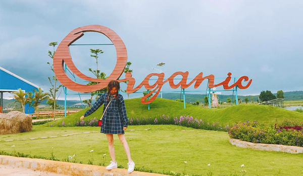 Hàng loạt góc check-in cực chất tại trang trại Vinamilk Organic