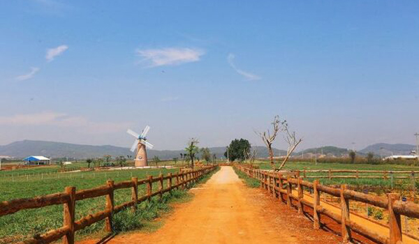 Đường vào Dalat Milk Farm đẹp hút hồn