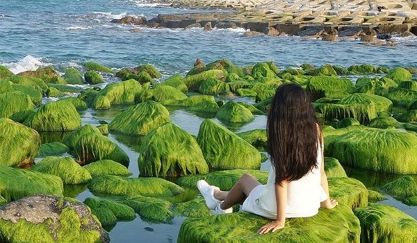 du-lich-nha-trang-3-ngay-2-dem-8 Bãi đá rêu đẹp ngỡ ngàng ở Nha Trang