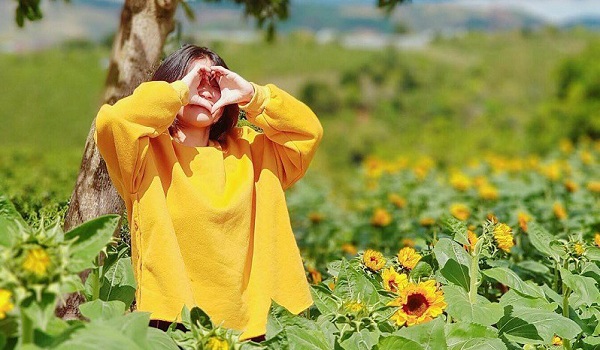 gia-tour-du-lich-nha-trang-da-lat-2201 Đi Đà Lạt vào tháng 7, bạn tha hồ ngắm hoa Hướng Dương