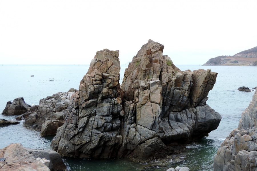 hang-heo-nha-trang203