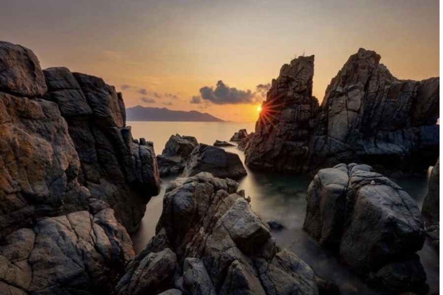 hang-heo-nha-trang204
