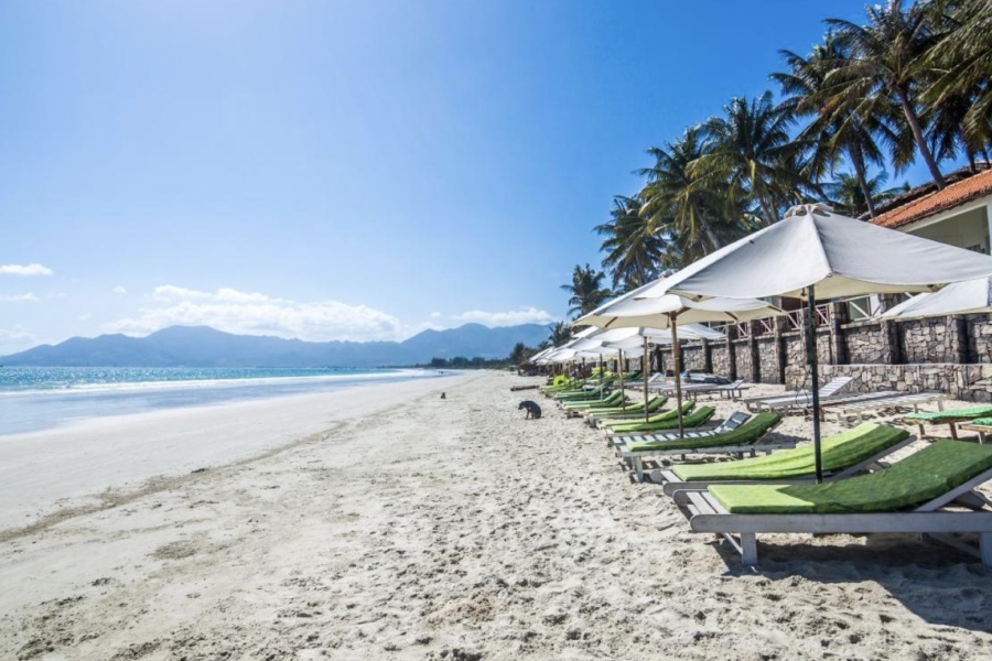 khach-san-cho-phep-vat-nuoi-tai-nha-trang-4