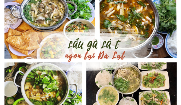 kinh-nghiem-du-lich-nha-trang-da-lat-7 Trời se lạnh ngồi bên nồi lẩu gà lá é Đà Lạt thì còn gì bằng