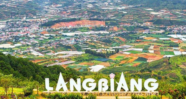 langbiang204
