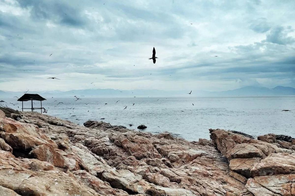le-hoi-yen-sao-nha-trang201