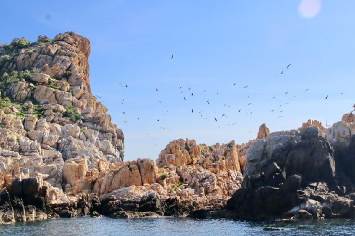 le-hoi-yen-sao-nha-trang207