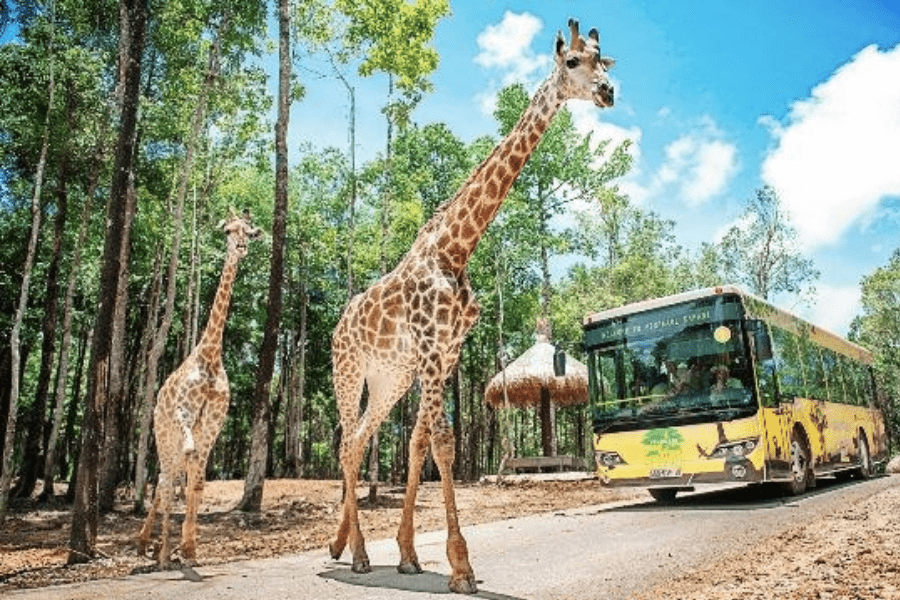 ngan-hang-bidv-khanh-hoa-tai-sheraton-phu-quoc2019