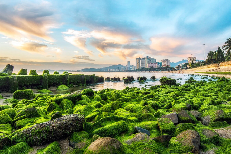 nhung-dia-diem-du-lich-free-o-nha-trang2015