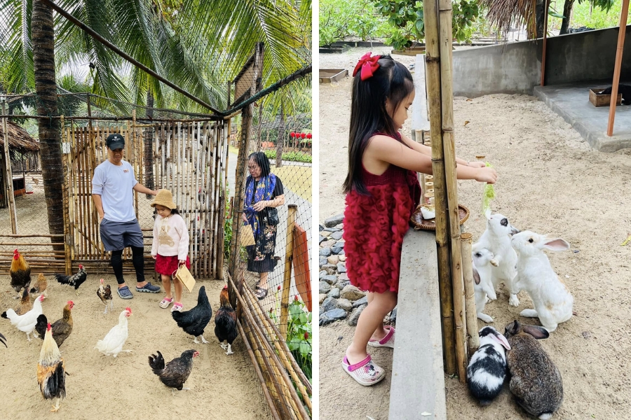 nong-trai-fusion-farm-co-gi-10202