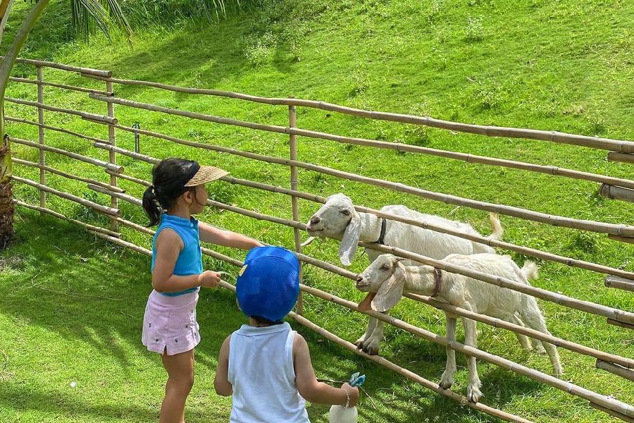nong-trai-fusion-farm-co-gi-2