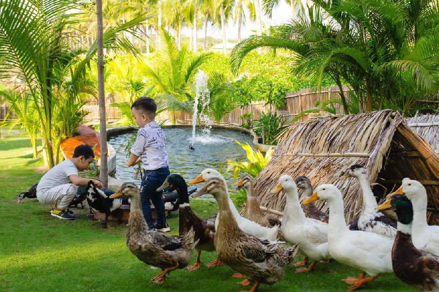 nong-trai-fusion-farm-co-gi-5
