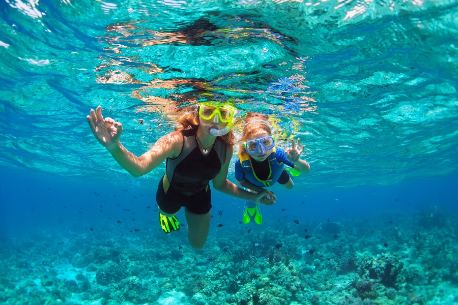 phan-biet-lan-snorkeling-va-scuba-diving201