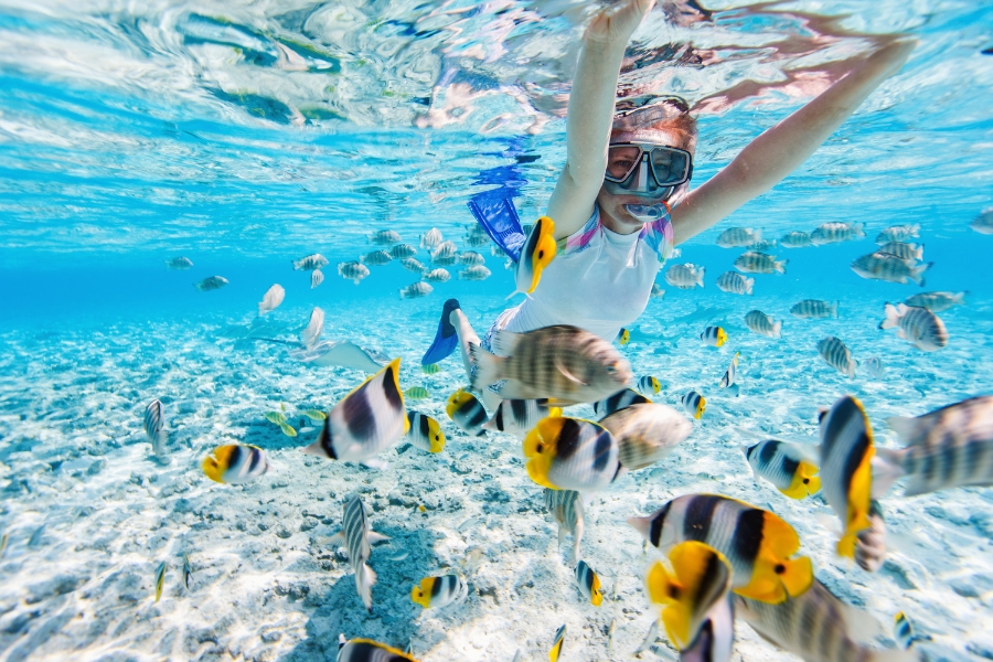 phan-biet-lan-snorkeling-va-scuba-diving205