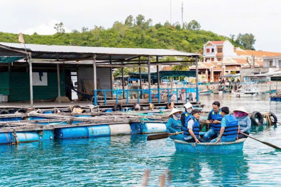 review-du-thuyen-sea-corel2010
