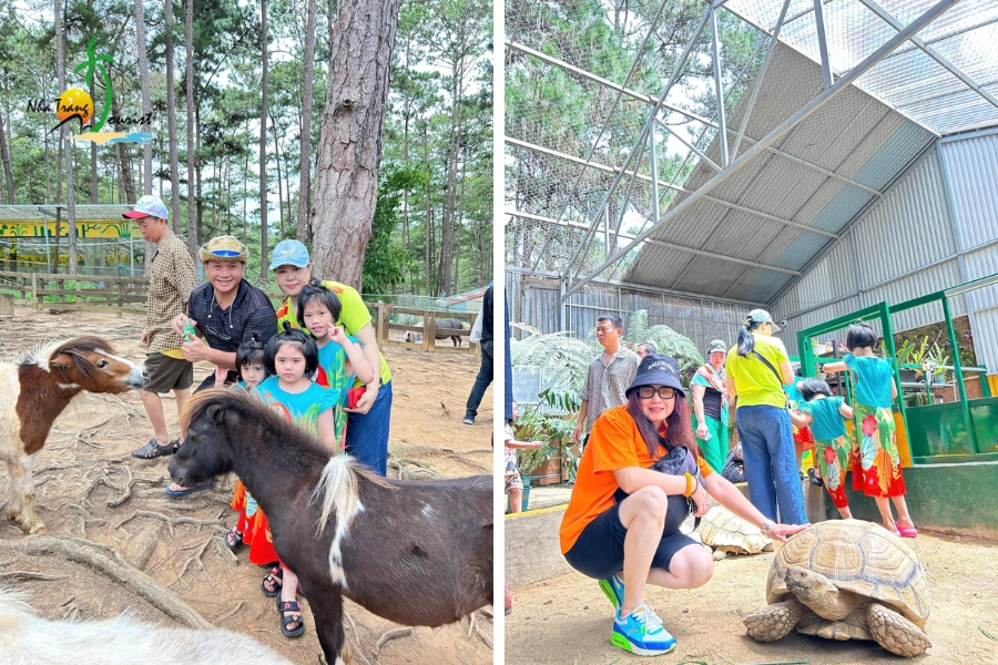 review-hanh-trinh-nha-trang-da-lat-5n4d-dai-gia-dinh-chi-que-anh2010