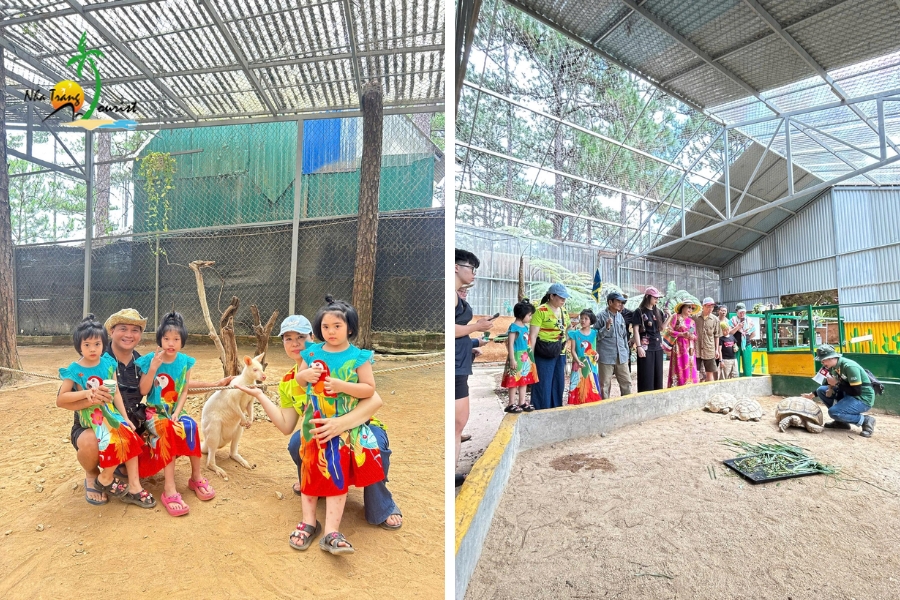 review-hanh-trinh-nha-trang-da-lat-5n4d-dai-gia-dinh-chi-que-anh2012