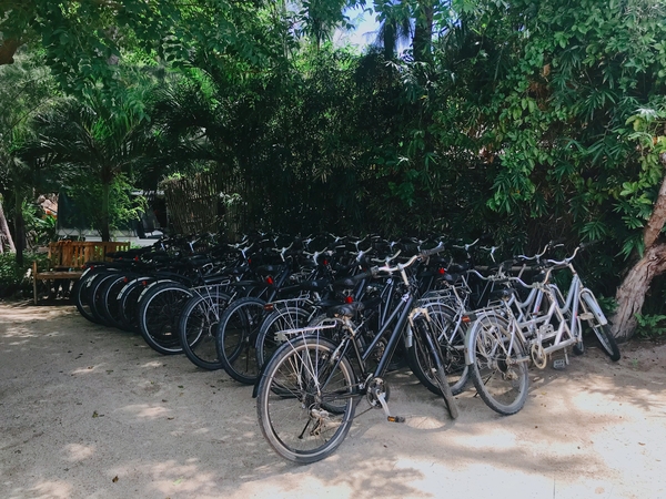 Những chiếc xe đạp được chuẩn bị sẵn cho du khách