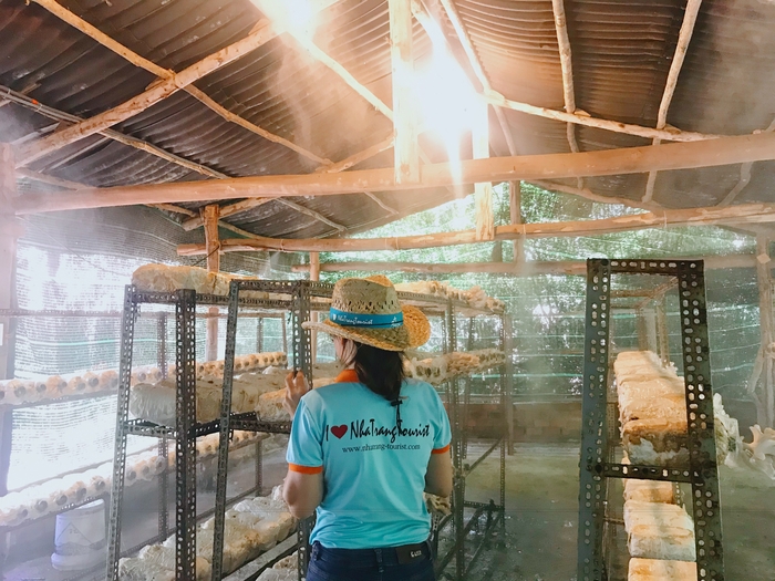Tham quan khu vực trồng nấm