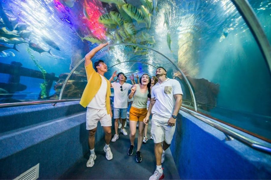 thuy-cung-vinpearl-nha-trang203