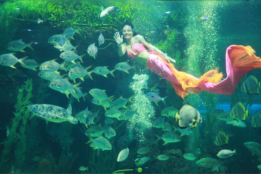 thuy-cung-vinpearl-nha-trang204