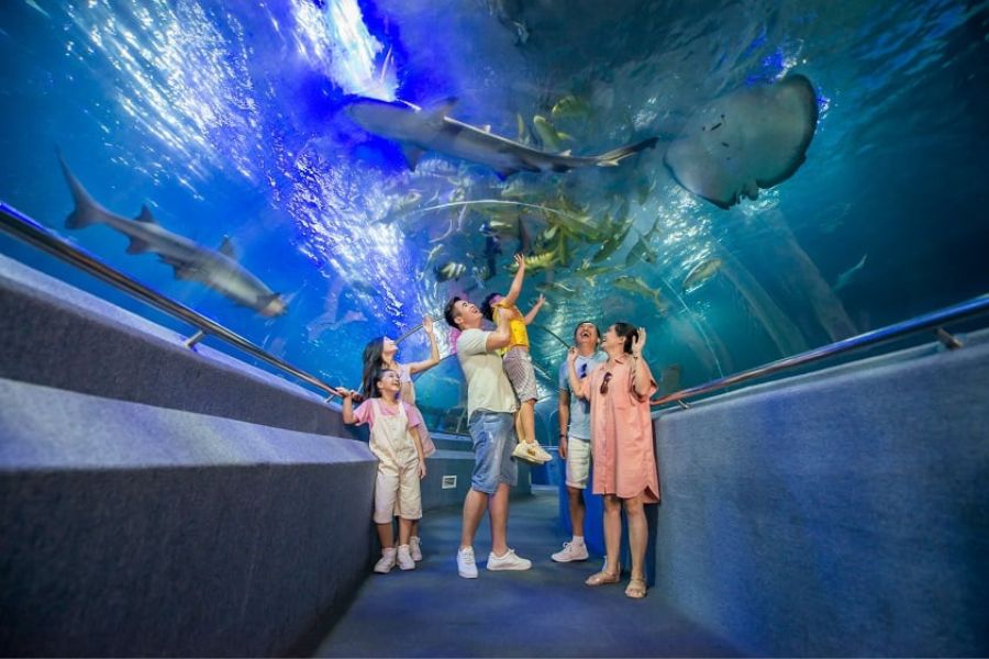 thuy-cung-vinpearl-nha-trang205