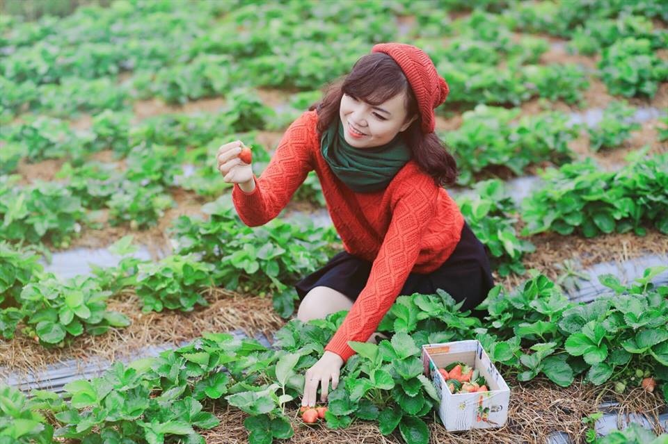 tour-du-lich-nha-trang-da-lat-5 Áo len cùng chân váy là thời trang phù hợp cho thời tiết se lạnh tại Đà Lạt