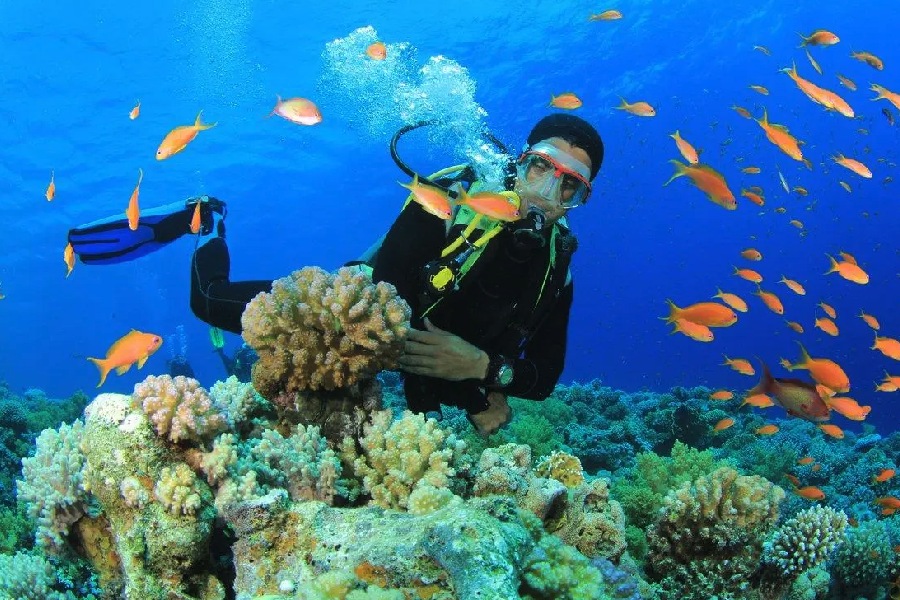 tour-nha-trang-3-ngay-2-dem-cho-khach-doan-4