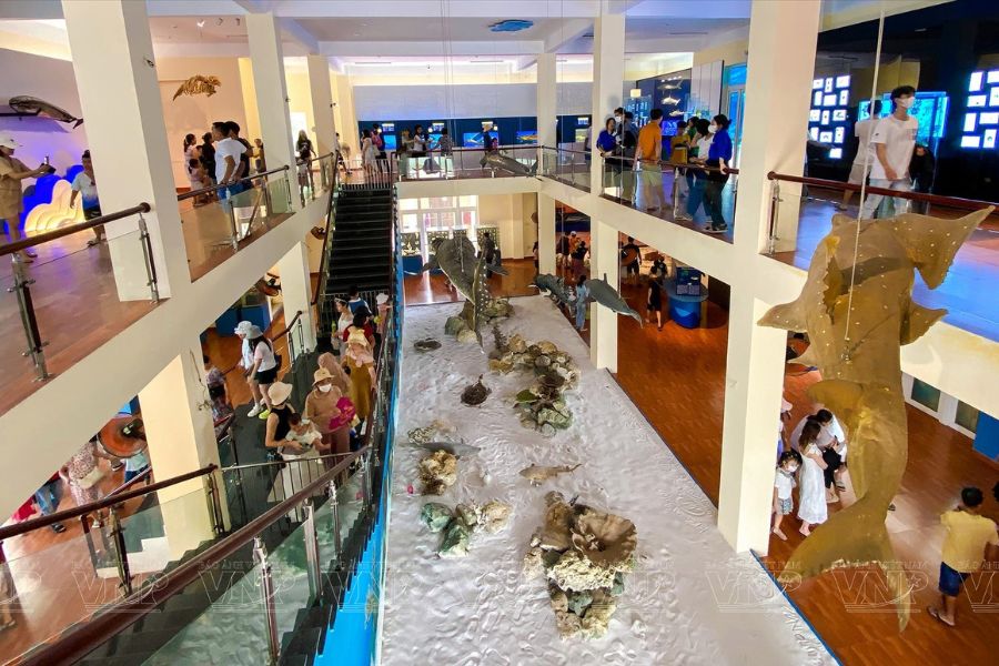 vien-hai-duong-hoc-nha-trang204