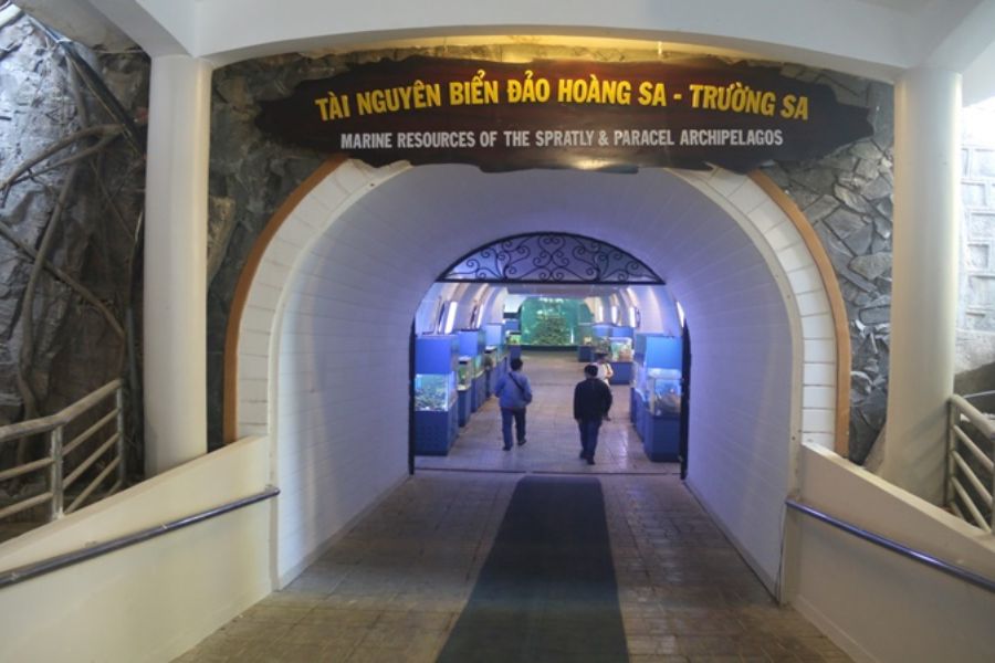 vien-hai-duong-hoc-nha-trang205