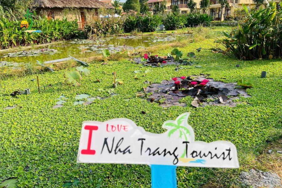 dem-tiec-tri-an-ana-mandara-cam-ranh2015