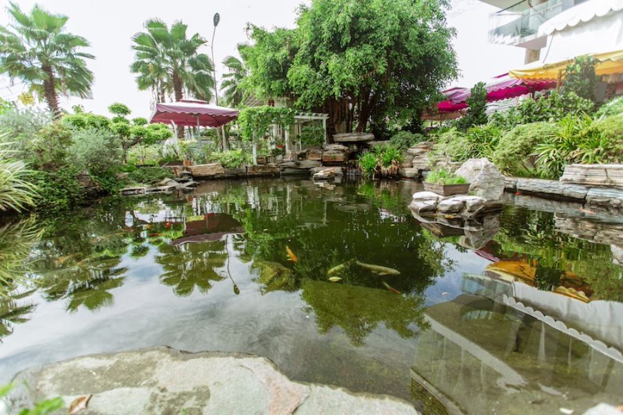 kdl-lang-yen-mai-sinh-nha-trang206