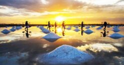 cdm