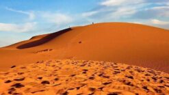 doi-cat-hong