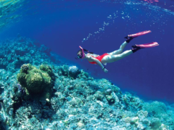 lan-bien-dao-hon-mot-nha-trang