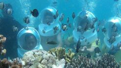 Du lịch Nha Trang - Đà Lạt 4 ngày 3 đêm