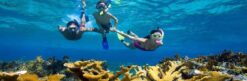 snorkeling