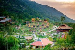 tam-bun-tram-trung-3