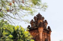 tháp nhạn 3