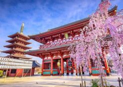 Chùa quan âm Asakusa Kannon